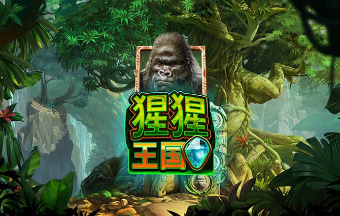 南宫28圈官网下载链接